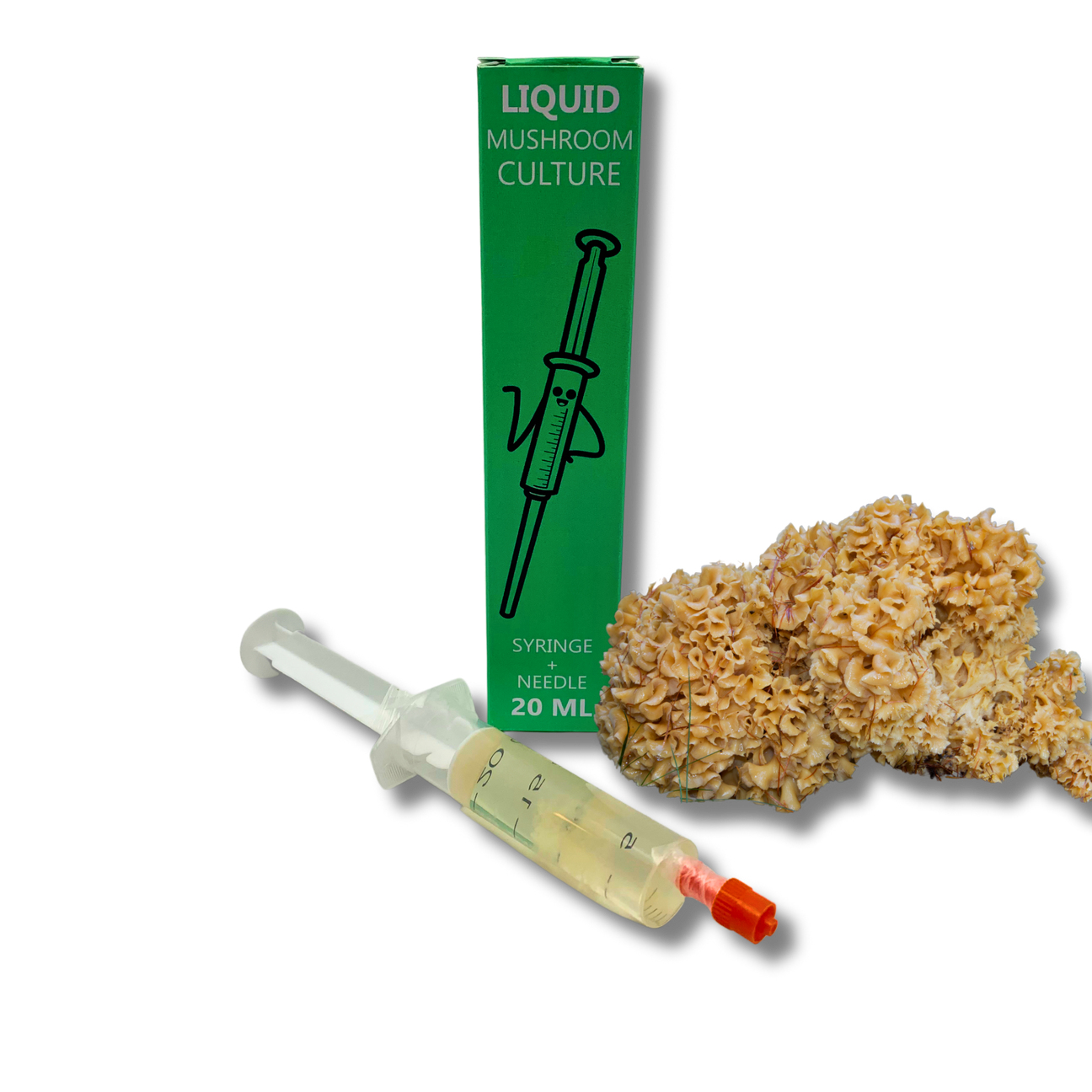 Sparassis liquid culture syringe with needle and mushroom.
