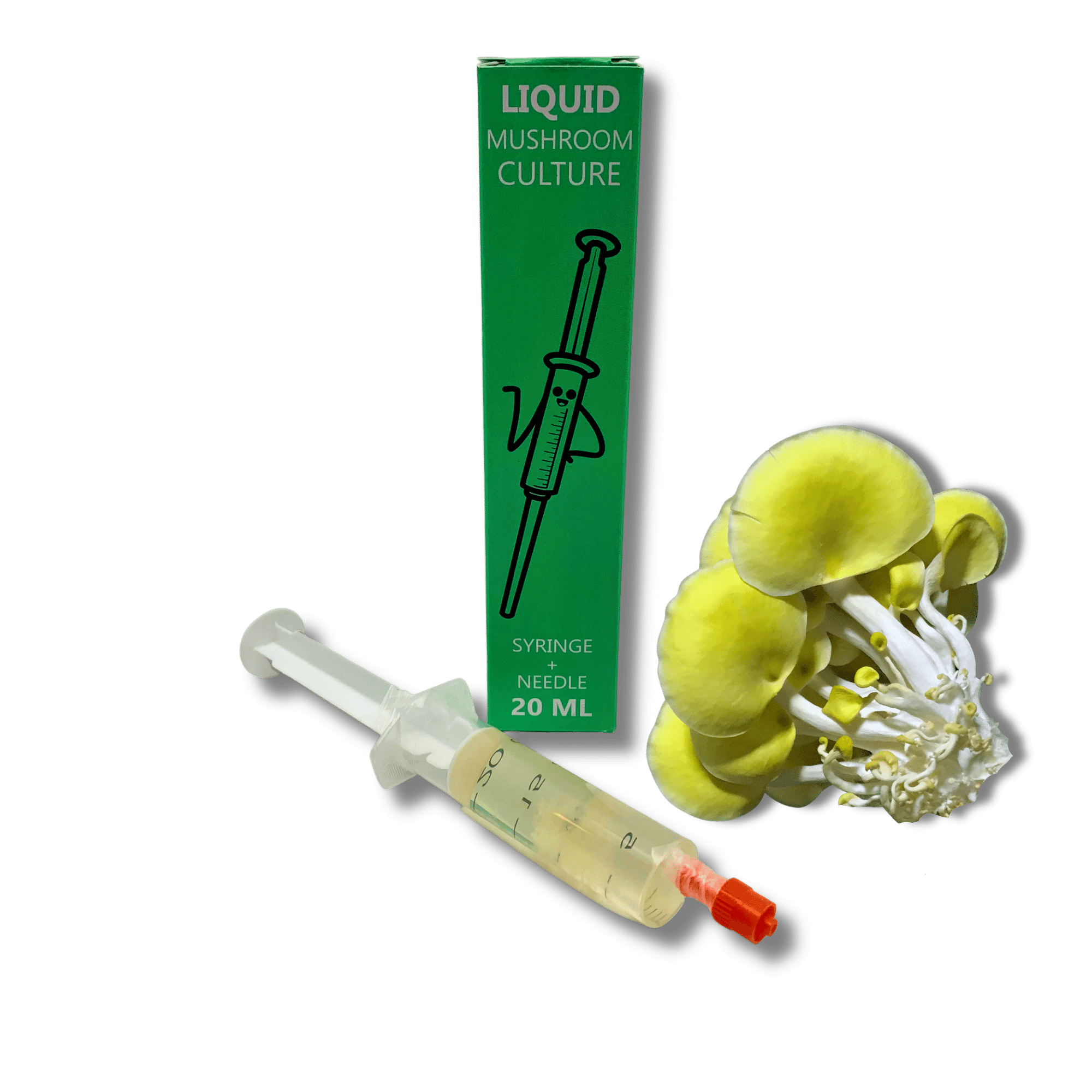 liquid culture syringe with golden oyster mushroom mycelium