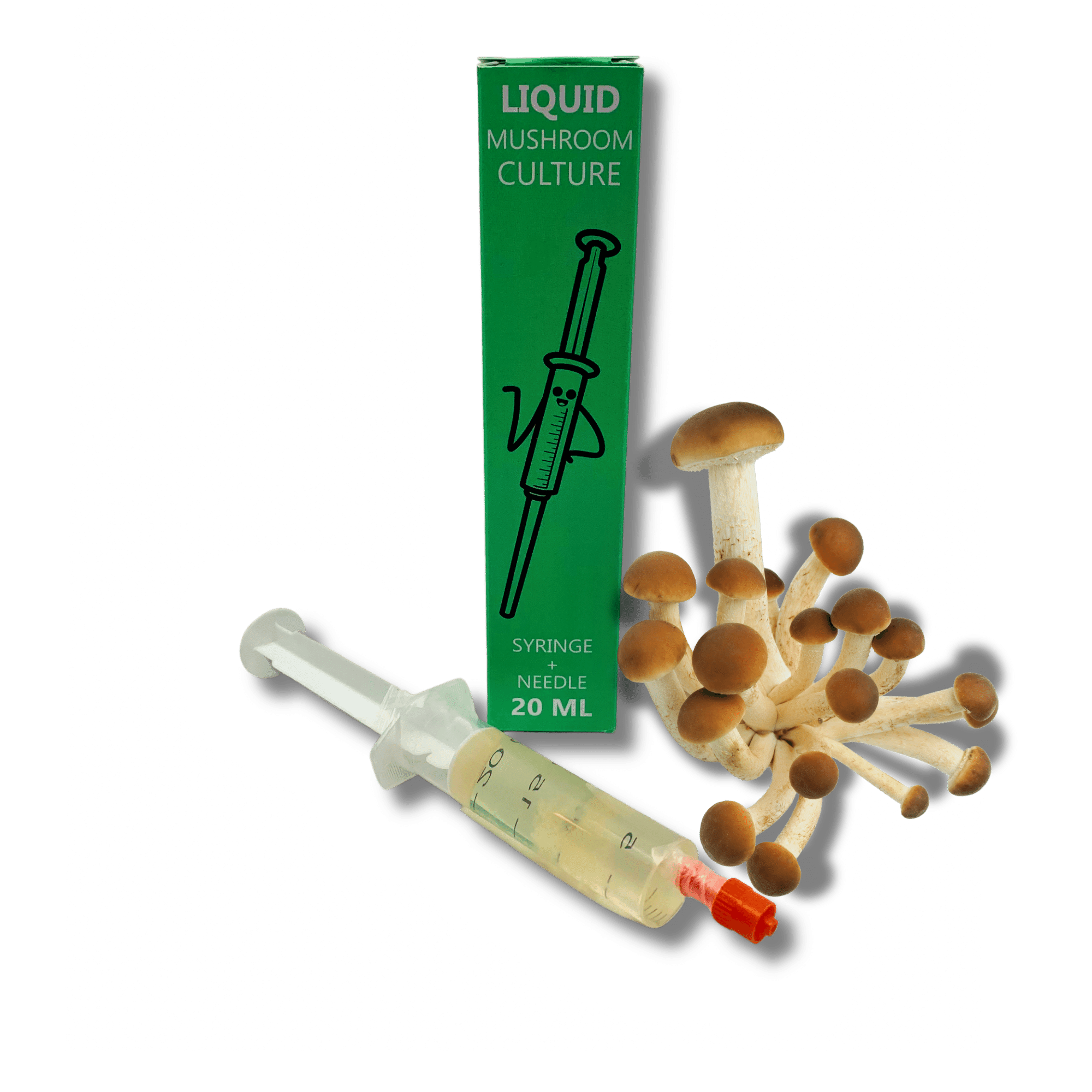 Pioppino liquid culture syringe with mushrooms and packaging.