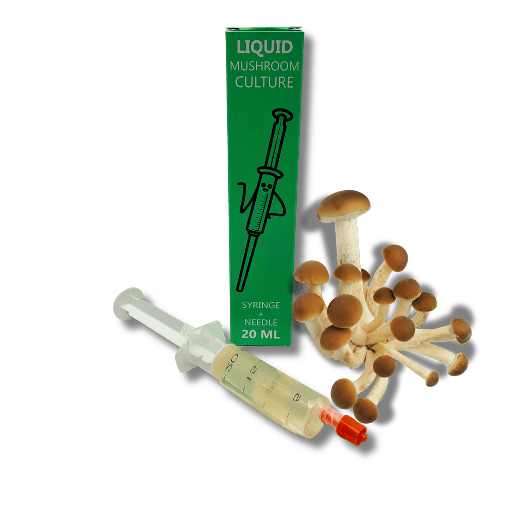 liquid culture syringe with pioppino mushroom mycelium
