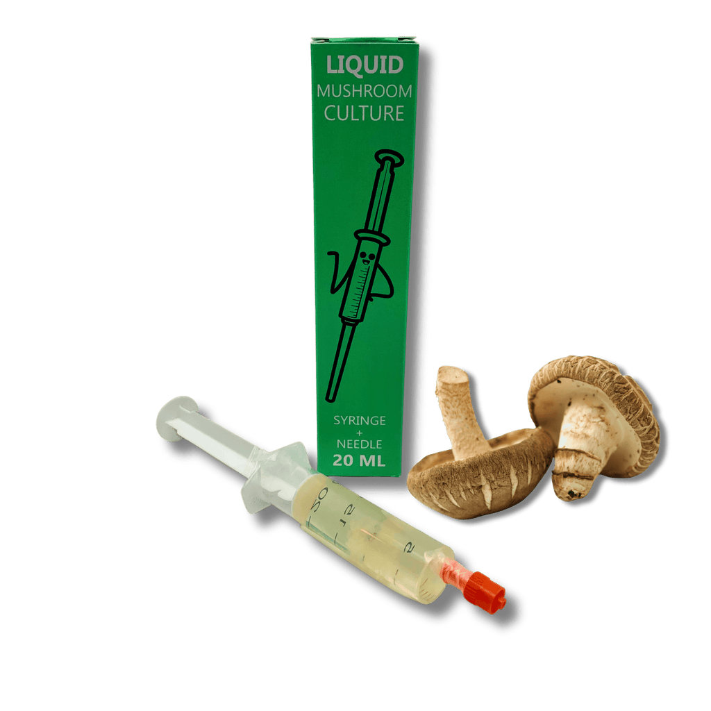 liquid culture syringe with shiitake mushroom mycelium