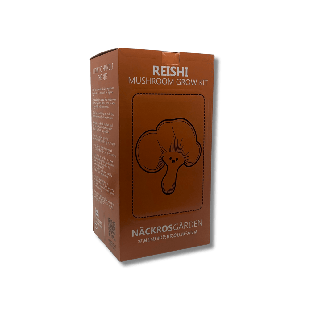 A Reishi mushroom growing kit that have not been started.