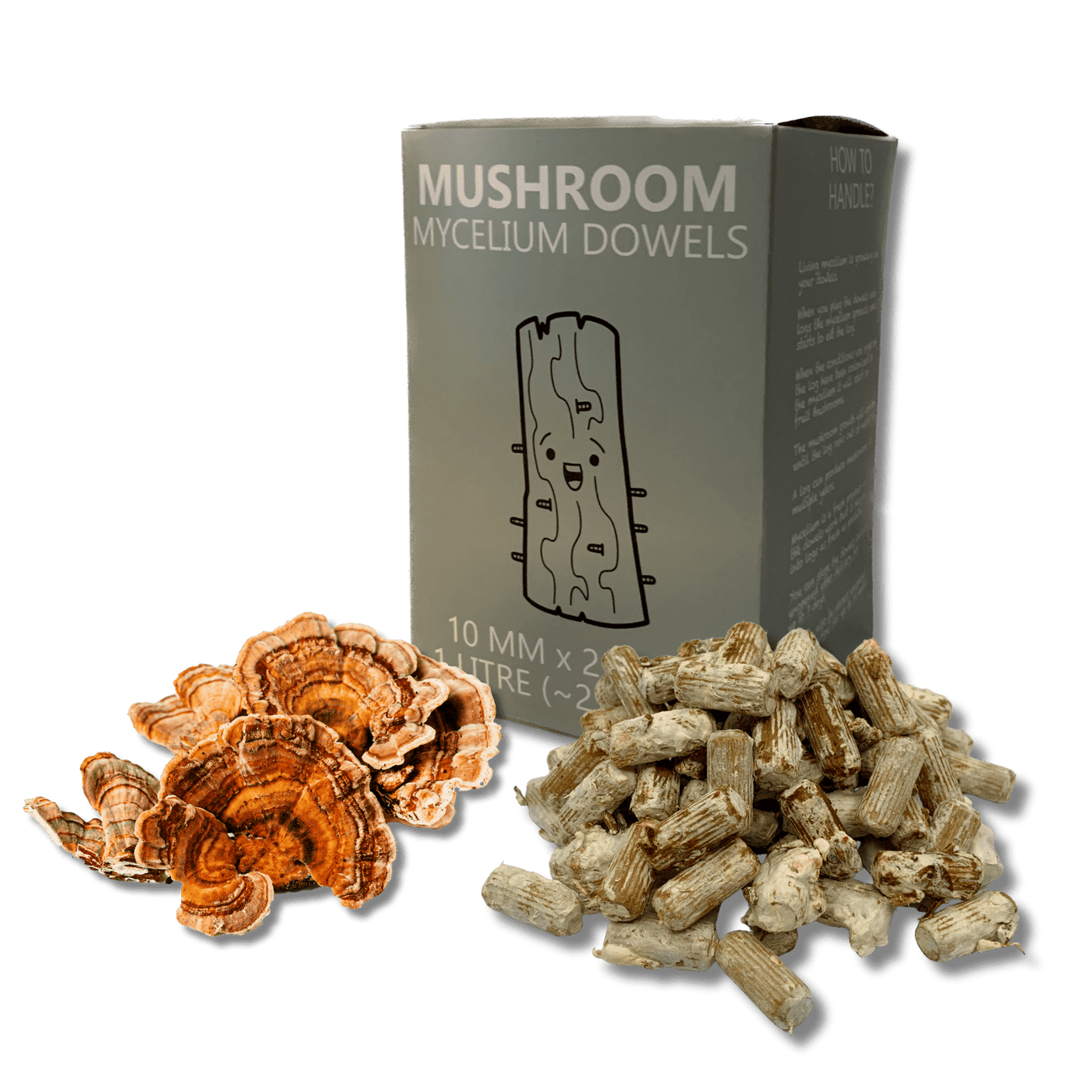 Turkey tail mushroom dowels for log inoculation and mushroom gardening.