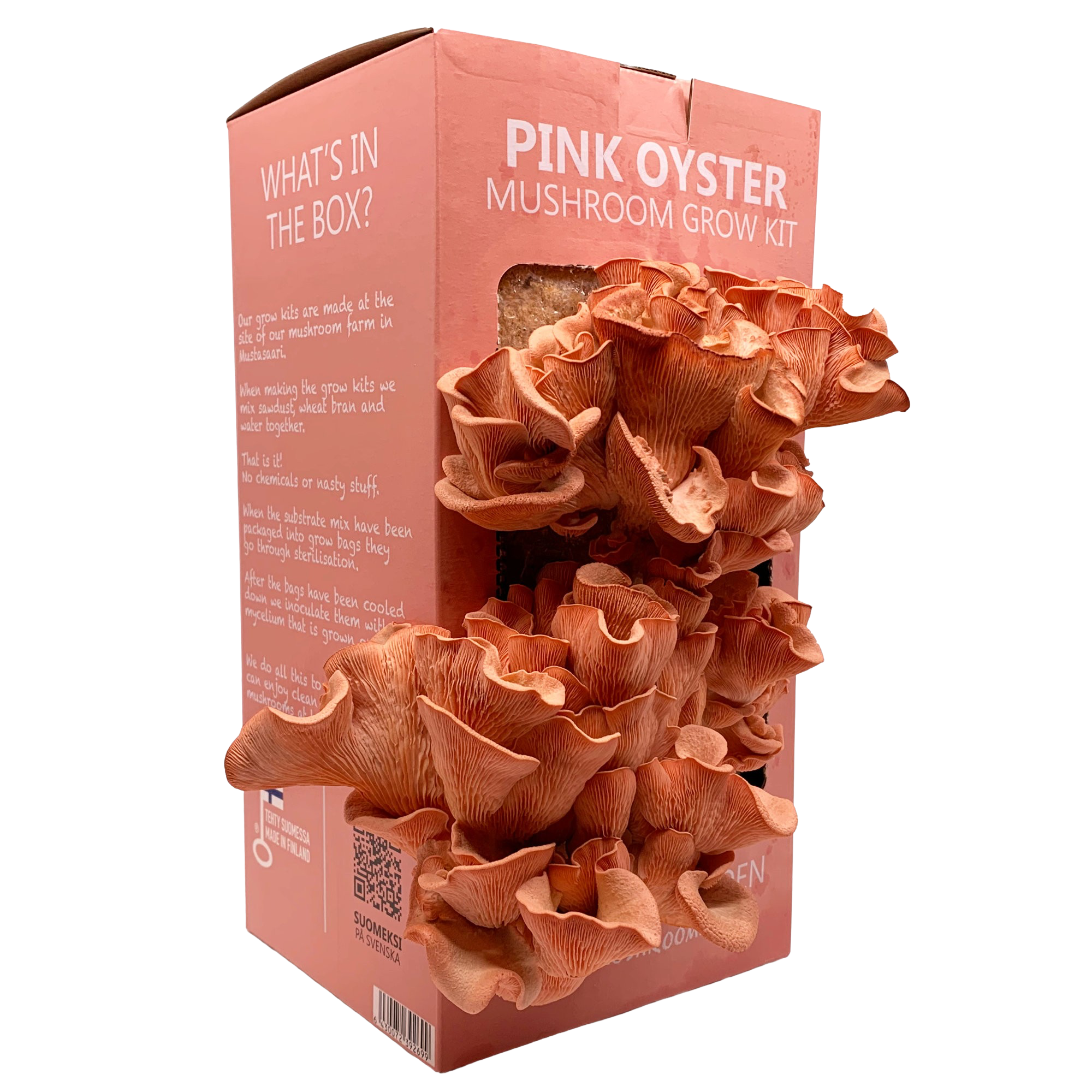 Pink oyster growkit